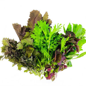 ベビーリーフミックス 株式会社グッドリーフ